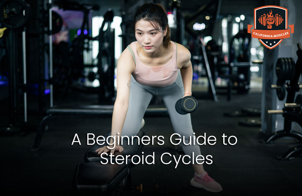 A Beginners Guide to Steroid Cycles