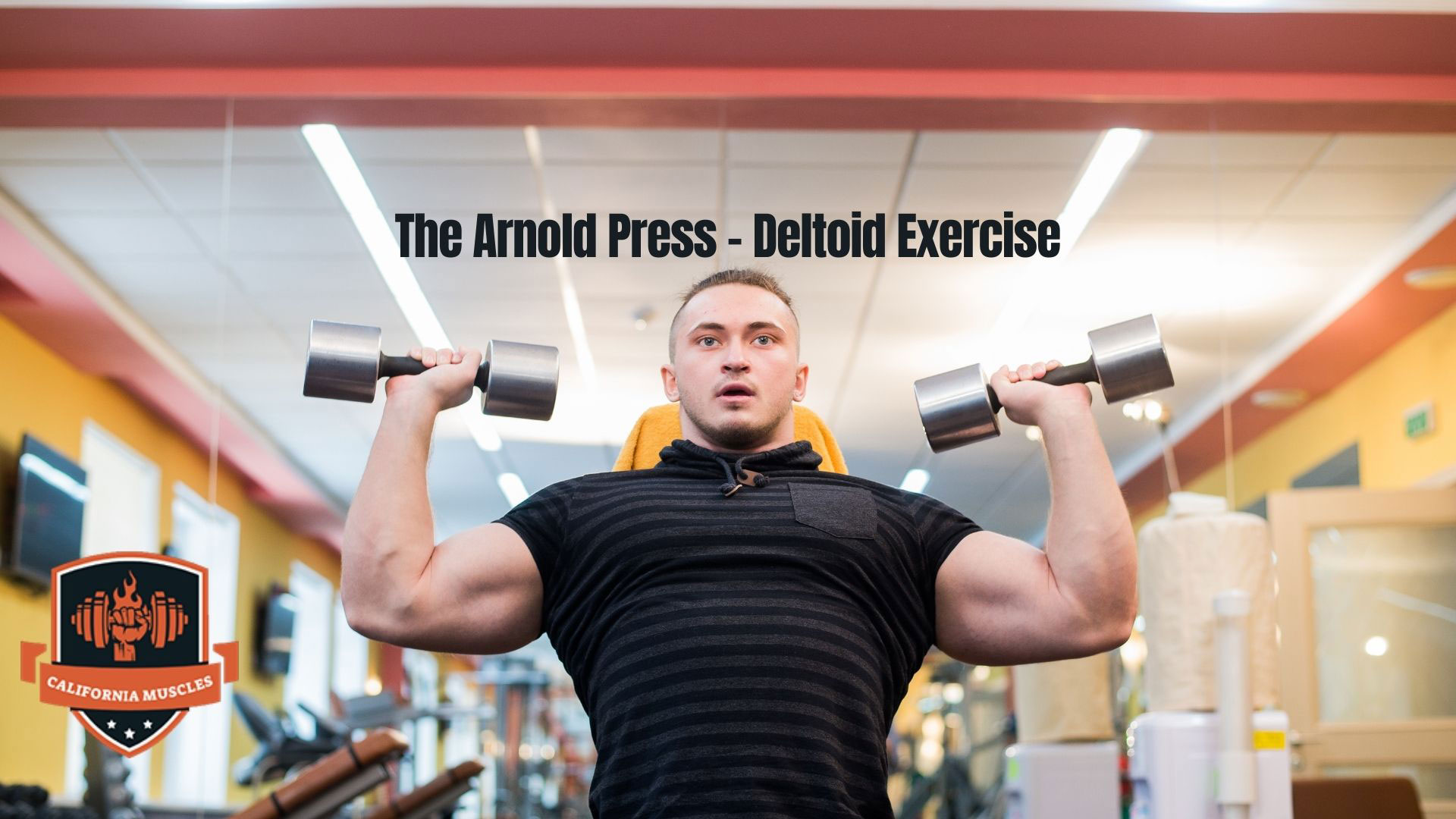 The Arnold Press and the Best Deltoid Exercises for Bodybuilders