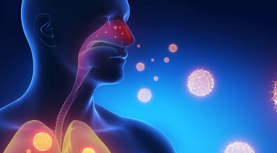 Boosting Immunity with Anabolic Steroids: The fight against viruses & infections
