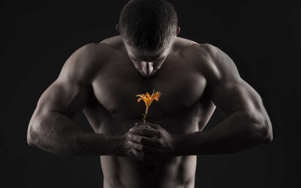 Buy injectable steroids in the US
