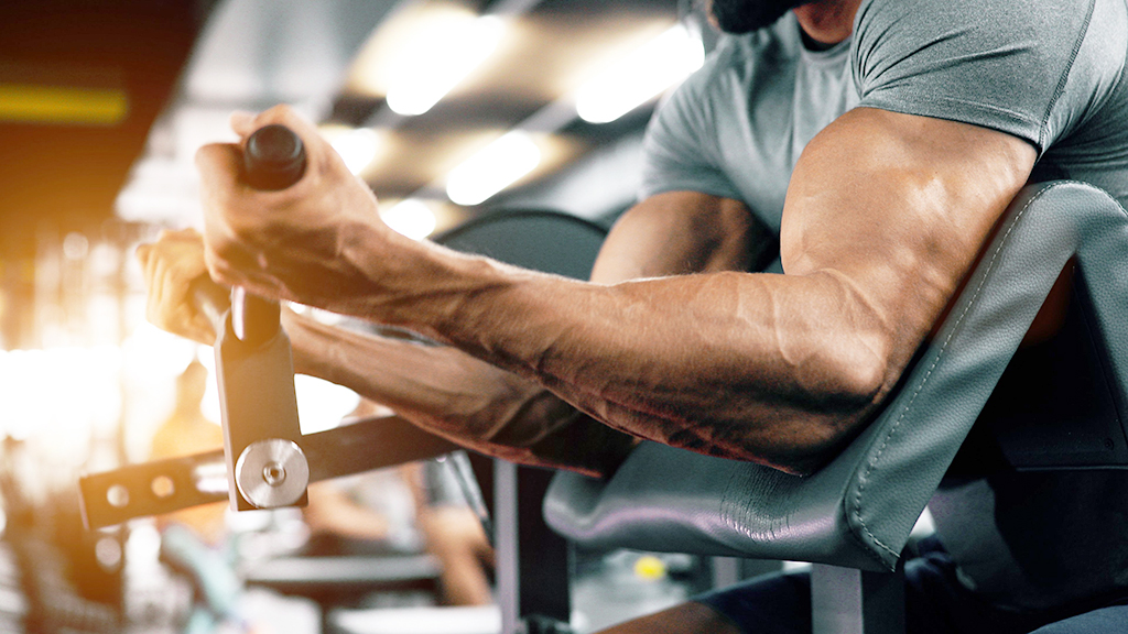 trenbolone only cycle