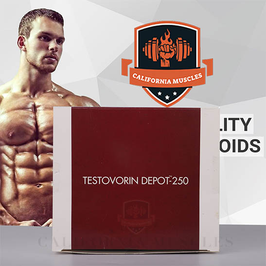 Testovorin Depot-250 for sale in California