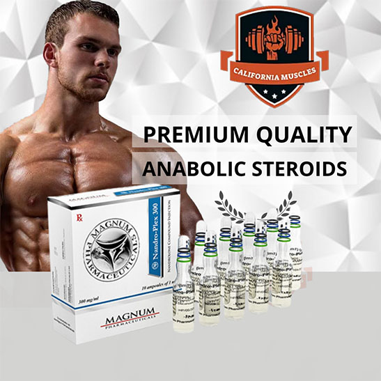 Magnum Nandro-Plex 300 for sale in california