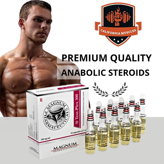 Magnum Test-Plex 300 for sale in california