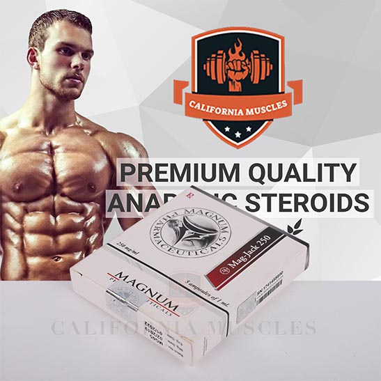 Magnum Mag-Jack 250 for sale in California