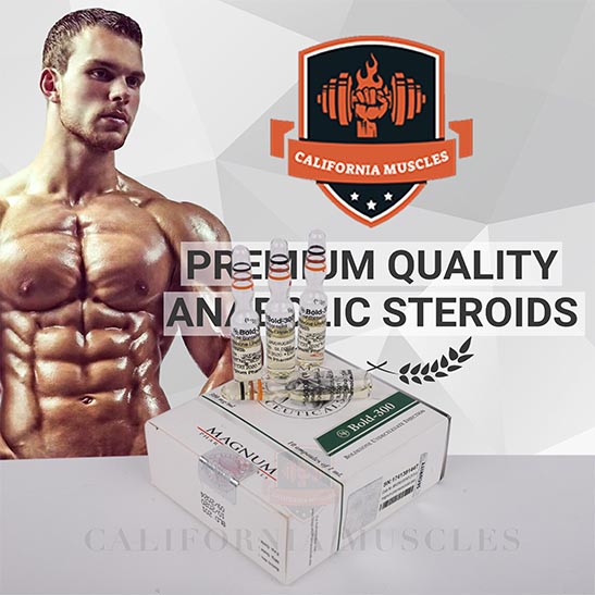 Magnum Bold 300 for sale in california