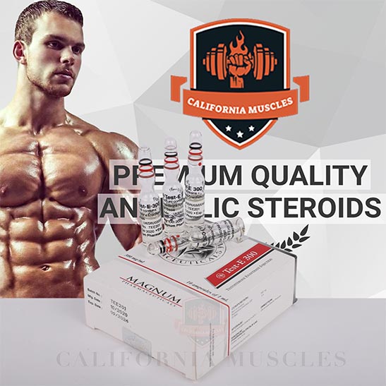 Magnum Test-E 300 for sale in california