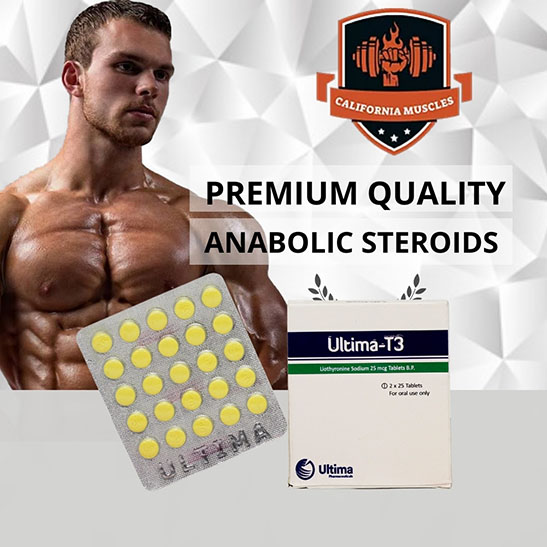 Ultima-T3 for sale in California