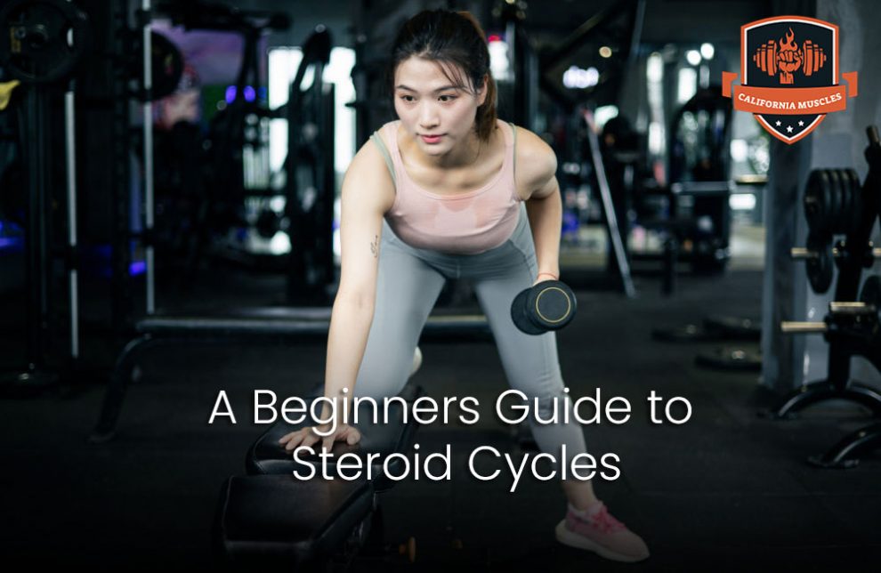 A Beginners Guide to Steroid Cycles High Quality Steroids Only