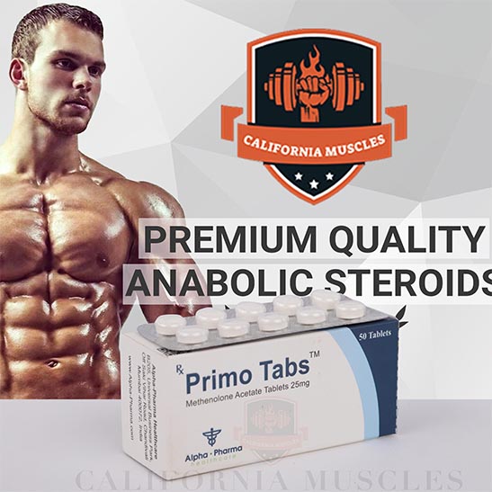 Primo Tabs for sale in USA