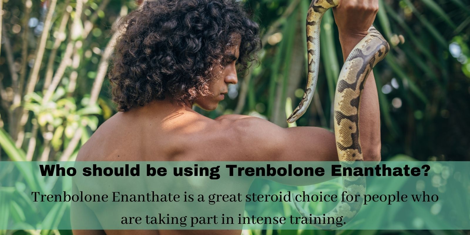 Who should be using Trenbolone Enanthate_