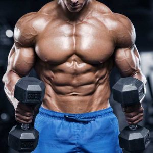 strength and endurance steroids
