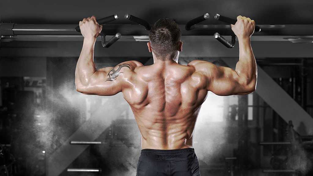 what is trenbolone used for