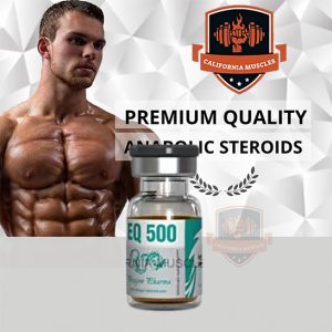 EQ 500 on californiamuscles.shop