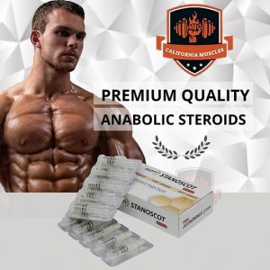 stanoscot on californiamuscles.shop