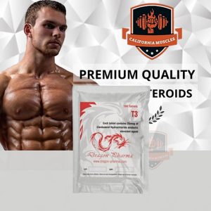 T3 on californiamuscles.shop