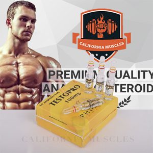 Testopro - 100mg - 10 ampoulesfor sale in usa californiamuscles.shop