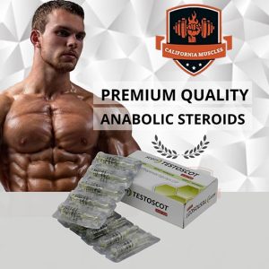testoscot on californiamuscles.shop